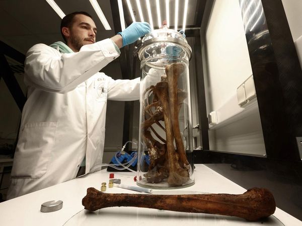 Ilmuwan Belgia Botolkan Bau Tulang untuk Melatih Anjing Pelacak