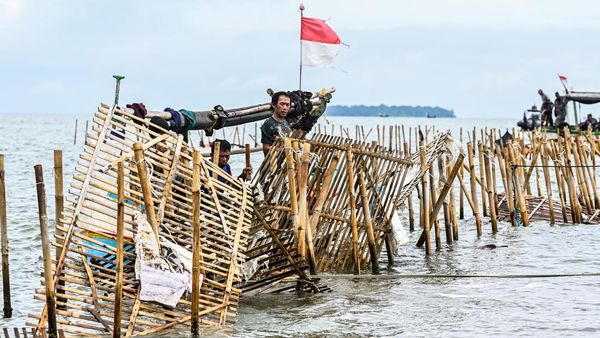 Penampakan Pagar Laut Misterius di Tangerang saat Dibongkar
