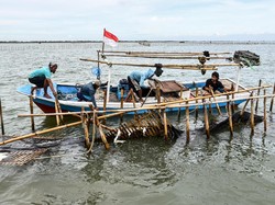Akhirnya Pagar Misterius 30 Km di Laut Tangerang Dibongkar!