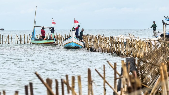 Sejumlah nelayan membongkar pagar maritim yang terpasang di wilayah pesisir Tanjung Pasir, Kabupaten Tangerang, Banten, Sabtu (18/1/2025). Sebanyak 600 personel Tentara Nasional Indonesia AL dan para nelayan Tanjung Pasir membongkar pagar maritim tanpa izin dengan target solusi selama 10 hari dengan jarak sepanjang 30,16 km. ANTARA FOTO/Rivan Awal Lingga/YU