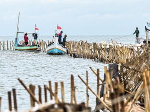Heboh Pagar Laut di Tangerang Dibongkar, Menteri Kelautan Minta Ditunda Heboh Pagar Laut di Tangerang Dibongkar, Menteri Kelautan Minta Ditunda