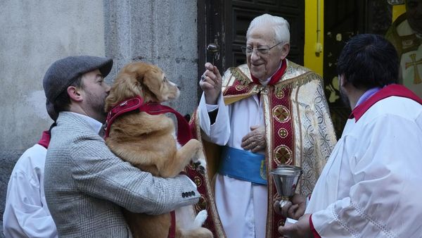 Saat Hewan Peliharaan Antre untuk Diberkati Pada Hari Santo Antonius di Spanyol