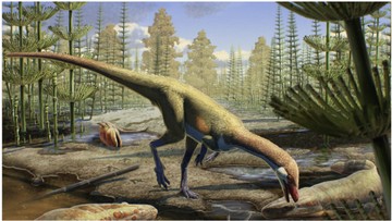 5 Fakta Menarik Dinosaurus yang Jarang Diketahui, Suka Berpelukan-Bisa Alami Pilek