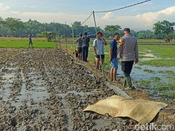 Pencari Belut di Ngawi Tewas Diduga Tersengat Jebakan Tikus