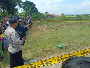 Pilu Jasad Bayi Ditemukan dalam Kardus yang Ditutupi Sajadah di Cirebon Pilu Jasad Bayi Ditemukan dalam Kardus yang Ditutupi Sajadah di Cirebon