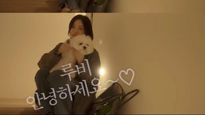 10 Foto Rumah Minimalis Song Hye Kyo Dihuni Bersama Anjing Peliharaan