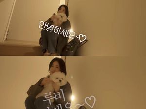 10 Foto Rumah Minimalis Song Hye Kyo Dihuni Bersama Anjing Peliharaan 10 Foto Rumah Minimalis Song Hye Kyo Dihuni Bersama Anjing Peliharaan