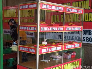 Cobain Ayam Kampung Goreng Ini deh Jika ke Cirebon