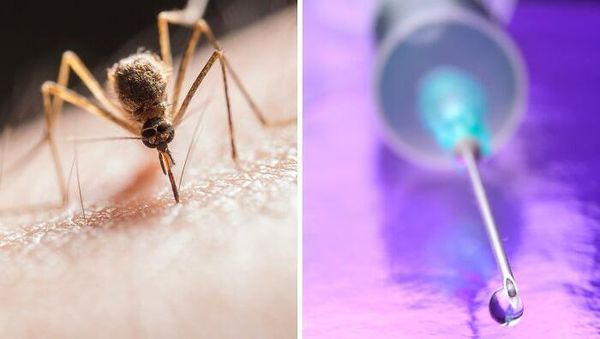 Ternyata Inovasi Buatan Manusia Ini Meniru Alam