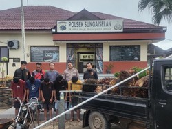 Polisi Tangkap Lima Pencuri Sawit 1,2 Ton di Bangka Tengah
