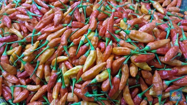 Pantauan nilai pangan ke Pasar Rumput, Ibukota Indonesia Selatan, Awal Minggu (20/1/2025). (CNBC Indonesia/Martyasari Rizky)