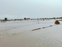 Bima Diterjang Banjir, Rumah, Sekolah, hingga Sawah Terendam
