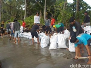 Warga di Polman Bikin Tanggul Darurat 300 Meter dari Karung demi Cegah Abrasi Warga di Polman Bikin Tanggul Darurat 300 Meter dari Karung demi Cegah Abrasi