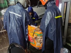 Viral Ular Sanca Melintang di Tengah Jalan Bikin Macet Wirobrajan