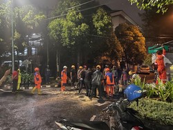 Pedagang Angkringan Tewas Tertimpa Pohon Tumbang di Umbulharjo Jogja