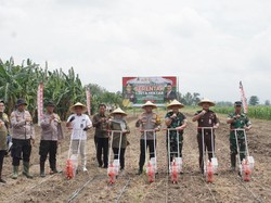 Polresta Sidoarjo Tanam Jagung di Lahan Balongbendo di Program 1 Juta Ha