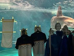 Mola-mola di Akurium Ini Kesepian, Staf Hibur dengan... Foto