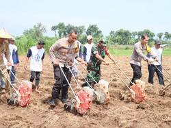 Dukung Swasembada Pangan, Polres Kediri Kota Tanam Jagung Serentak