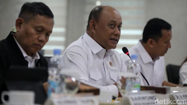 Kepala Badan Gizi Nasional-Komite III DPD Bahas Makan Bergizi Gratis