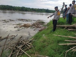 Seorang Kakek Tenggelam di Bengawan Solo Bojonegoro Saat Cari Kayu