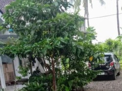 Plt Kades di Situbondo Ditangkap Usai Gelar Pesta Sabu