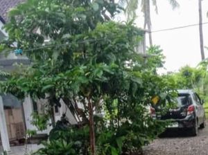 Plt Kades di Situbondo Ditangkap Usai Gelar Pesta Sabu Plt Kades di Situbondo Ditangkap Usai Gelar Pesta Sabu