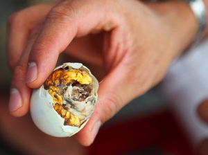 5 Produk Hewani yang Dicekal Gegara Dianggap Terlalu Kejam 5 Produk Hewani yang Dicekal Gegara Dianggap Terlalu Kejam