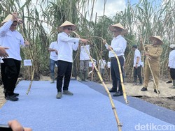 Menko Zulhas Kebut Produksi Gula di Sumut, Targetkan Naik 100% Tahun 2027
