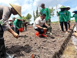 Olah Lahan Tidur, Polisi di Kota Mojokerto Targetkan Panen 15 Ton Jagung