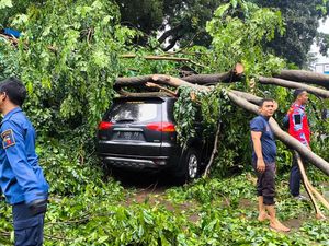 Hujan Disertai Angin Kencang, Pohon Tumbang Timpa 7 Kendaraan di SMK Bogor