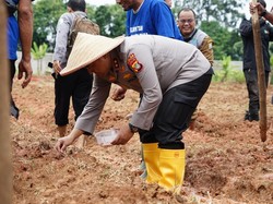 Polda Metro Tanam Jagung Seluas 16,5 Hektare di Bekasi demi Ketahanan Pangan