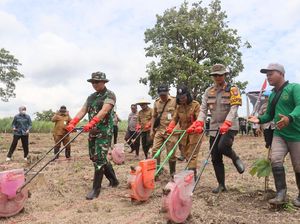 Polres Bojonegoro Tanam Jagung di Lahan Perhutani Desa Clebung Bubulan