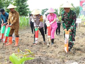 Polres Gresik Tanam Jagung di Panceng Dukung Ketahanan Pangan