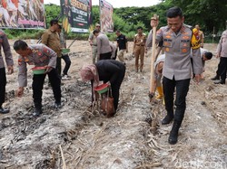 Polres Ponorogo Tanam Jagung 31 Hektare, Harapkan Bisa Swasembada Pangan