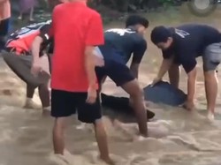 Viral Aspal Jalan di Ngawi Terkelupas Saat Banjir: Aspale Koyo Opak