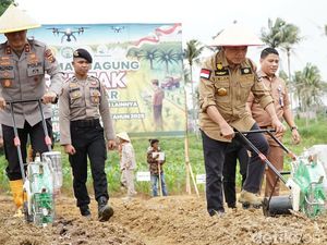 Dukung Swasembada di Jambi, Pemprov-Polda Kolaborasi Tanam Jagung