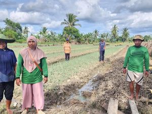 Kisah Petani Merauke Genjot Produktivitas Lewat KlasterkuHidupku BRI