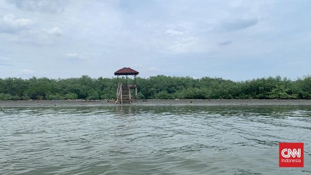Lokasi HGB Misterius 656 Hektare di Laut Sidoarjo Lokasi Hak Guna Bangunan (HGB) 656 hektare di perairan Sidoarjo