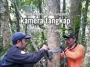 Proses Panjang Terekamnya Macan Tutul di TNBTS, Tak Sekadar Pasang Kamera Saja Proses Panjang Terekamnya Macan Tutul di TNBTS, Tak Sekadar Pasang Kamera Saja