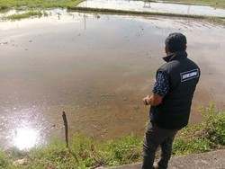 Waka DPRD Majene Junaedi Dipolisikan Terkait Dugaan Penyerobotan Lahan Sawah