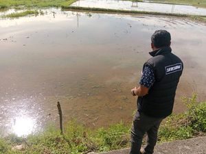 Waka DPRD Majene Junaedi Dipolisikan Terkait Dugaan Penyerobotan Lahan Sawah Waka DPRD Majene Junaedi Dipolisikan Terkait Dugaan Penyerobotan Lahan Sawah