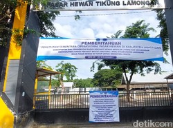 15 Pasar Hewan di Lamongan Ditutup Cegah Penyebaran PMK