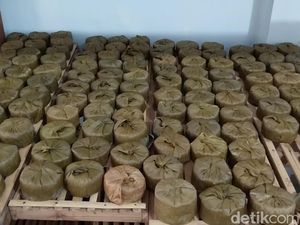 Sibuknya Para Pembuat Dodol China Legendaris di Majalengka Sibuknya Para Pembuat Dodol China Legendaris di Majalengka