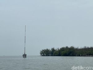 Bukan dengan Bambu, HGB 656 Ha di Laut Sidoarjo Pernah Dipagari Kayu Bukan dengan Bambu, HGB 656 Ha di Laut Sidoarjo Pernah Dipagari Kayu