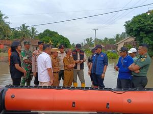 4.456 Hektare Sawah di Lamtim Terendam Banjir, Terancam Gagal Tumbuh