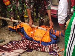 Detik-detik Zainudin Tewas Diserang Harimau di Lampung Barat