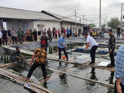 Koperasi Nelayan Didorong Geber Produksi Biar Makin Berkembang