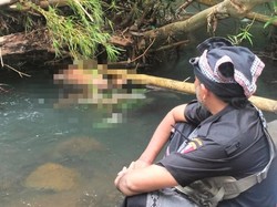Mayat Mengapung di Sungai Gegerkan Warga Ulakan Karangasem