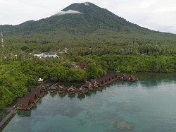 Perairan Maluku Bakal Jadi Kawasan Ekosistem Karbon Biru