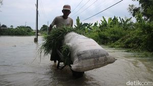 270 KK di Bojongoro Terisolir Akibat Banjir Bengawan Solo